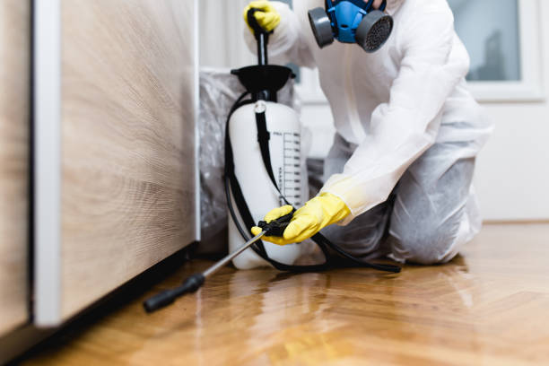 Best Commercial Pest Control Services  in Manville, NJ