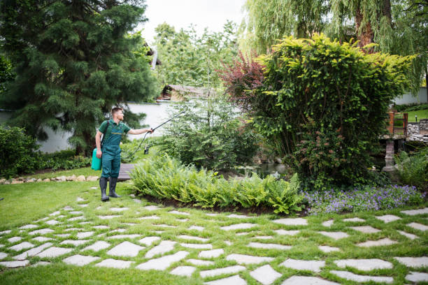 Best Best Pest Control Companies  in Manville, NJ