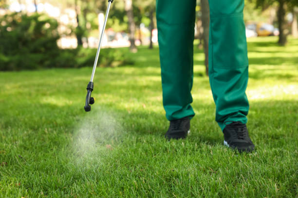 Best Spider Control Near Me  in Manville, NJ