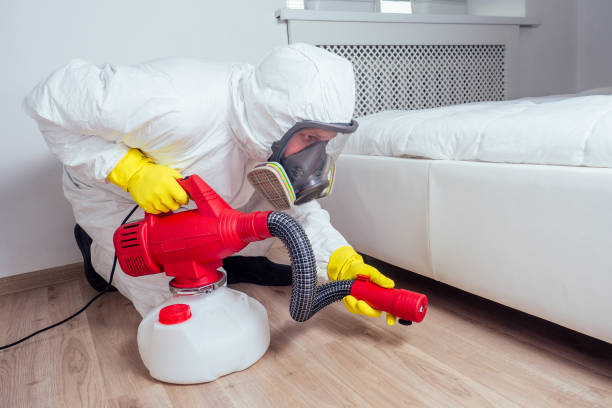 Best Insect Control  in Manville, NJ