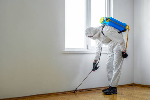 Best Wildlife Control Services  in Manville, NJ