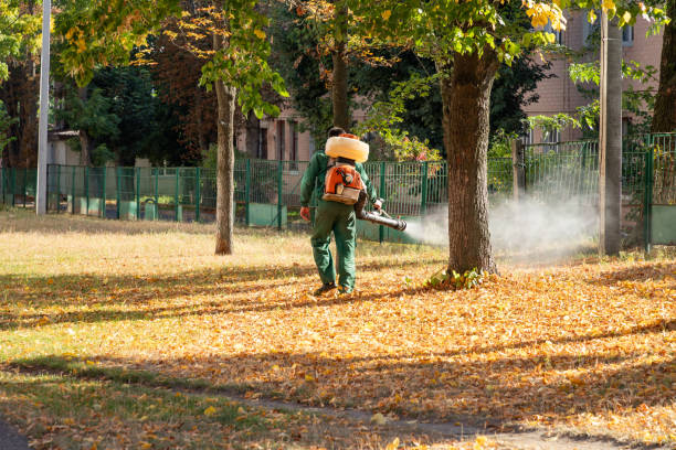 Pest Prevention Services in Manville, NJ