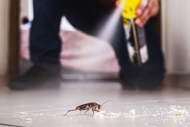 Best Local Pest Control Services  in Manville, NJ