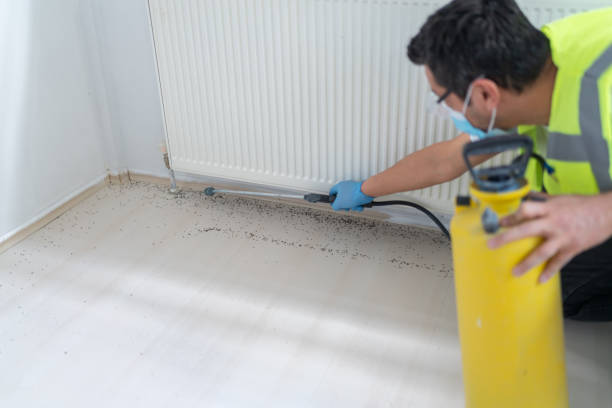 Best Bed Bug Extermination  in Manville, NJ