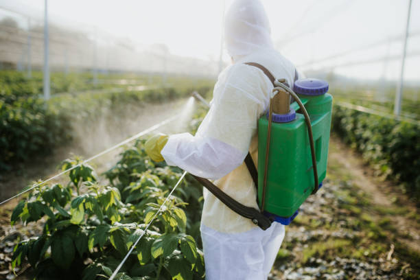 Best Pest Prevention Services  in Manville, NJ